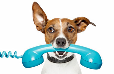 Kontakt Falck Vejhjælp per telefon